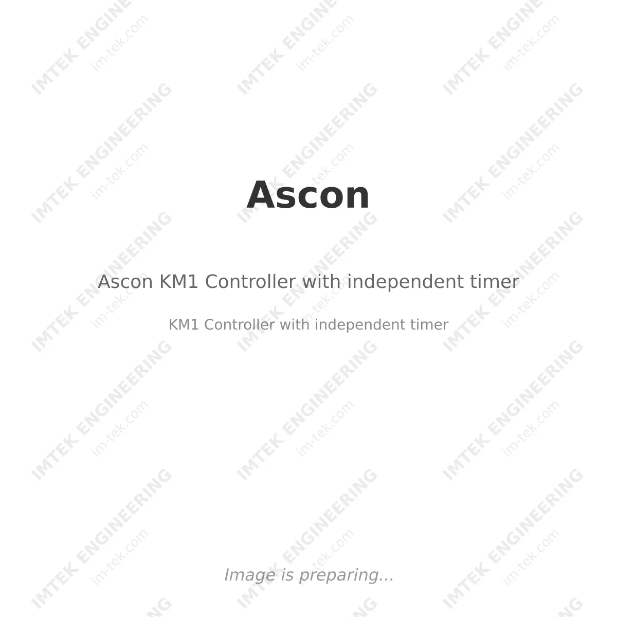 Ascon Ascon KM1 Controller with independent timer - KM1 Controller with independent timer