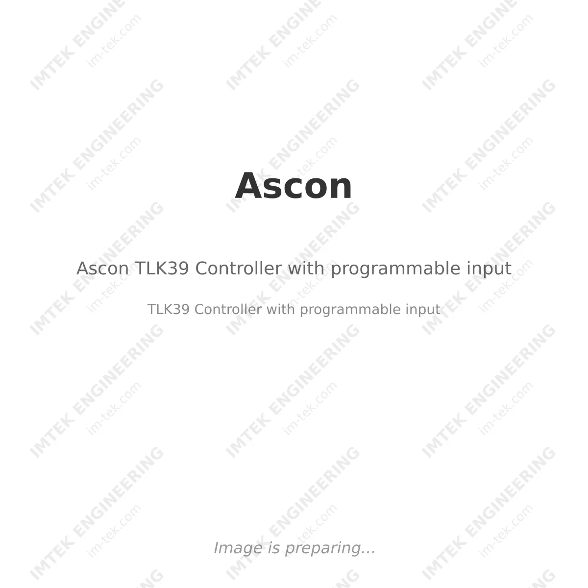 Ascon Ascon TLK39 Controller with programmable input - TLK39 Controller with programmable input