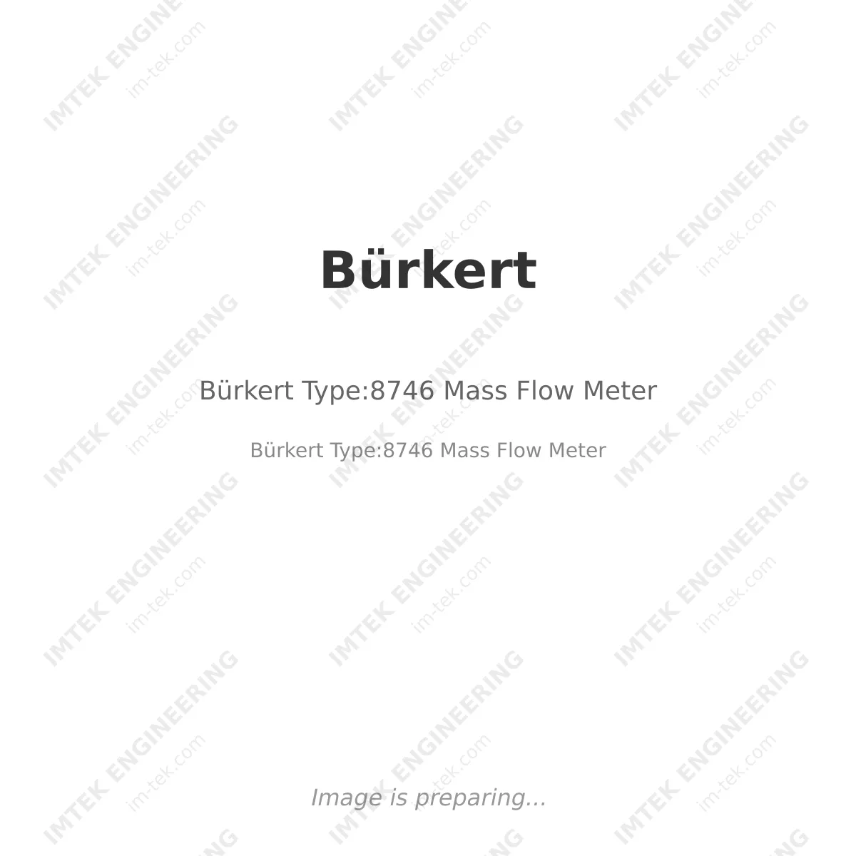 Bürkert Bürkert Type:8746 Mass Flow Meter - Bürkert Type:8746 Mass Flow Meter