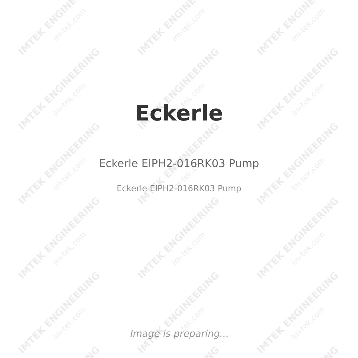 Eckerle Eckerle EIPH2-016RK03 Pump - Eckerle EIPH2-016RK03 Pump