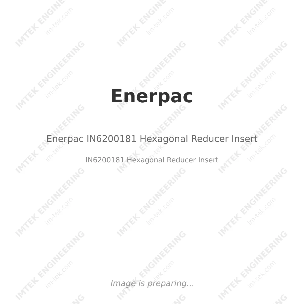 Enerpac Enerpac IN6200181 Hexagonal Reducer Insert - IN6200181 Hexagonal Reducer Insert