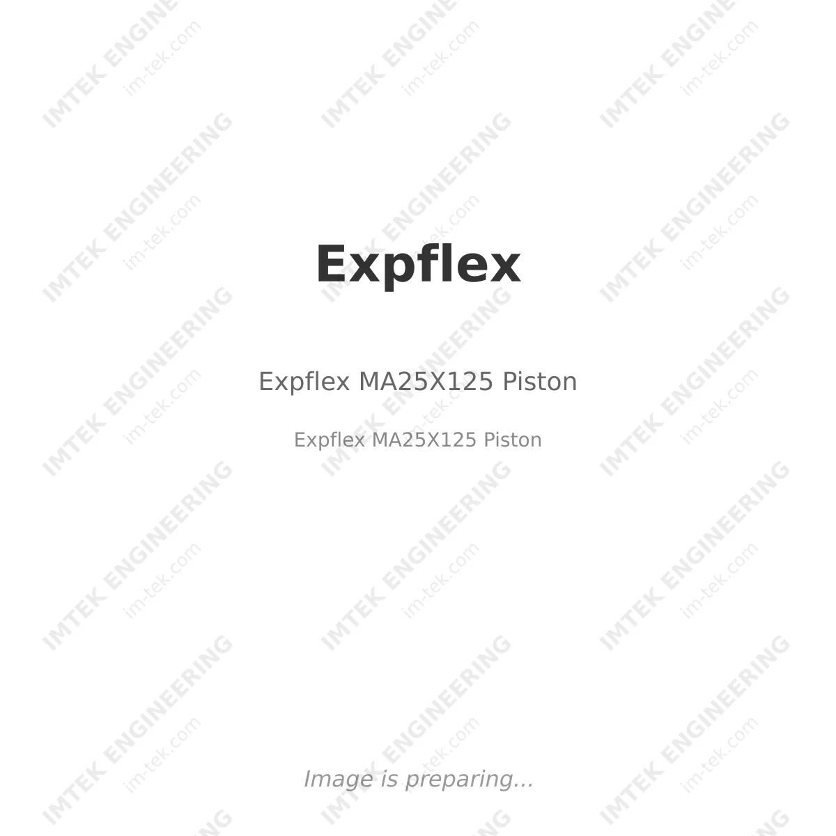 Expflex Expflex MA25X125 Piston - Expflex MA25X125 Piston