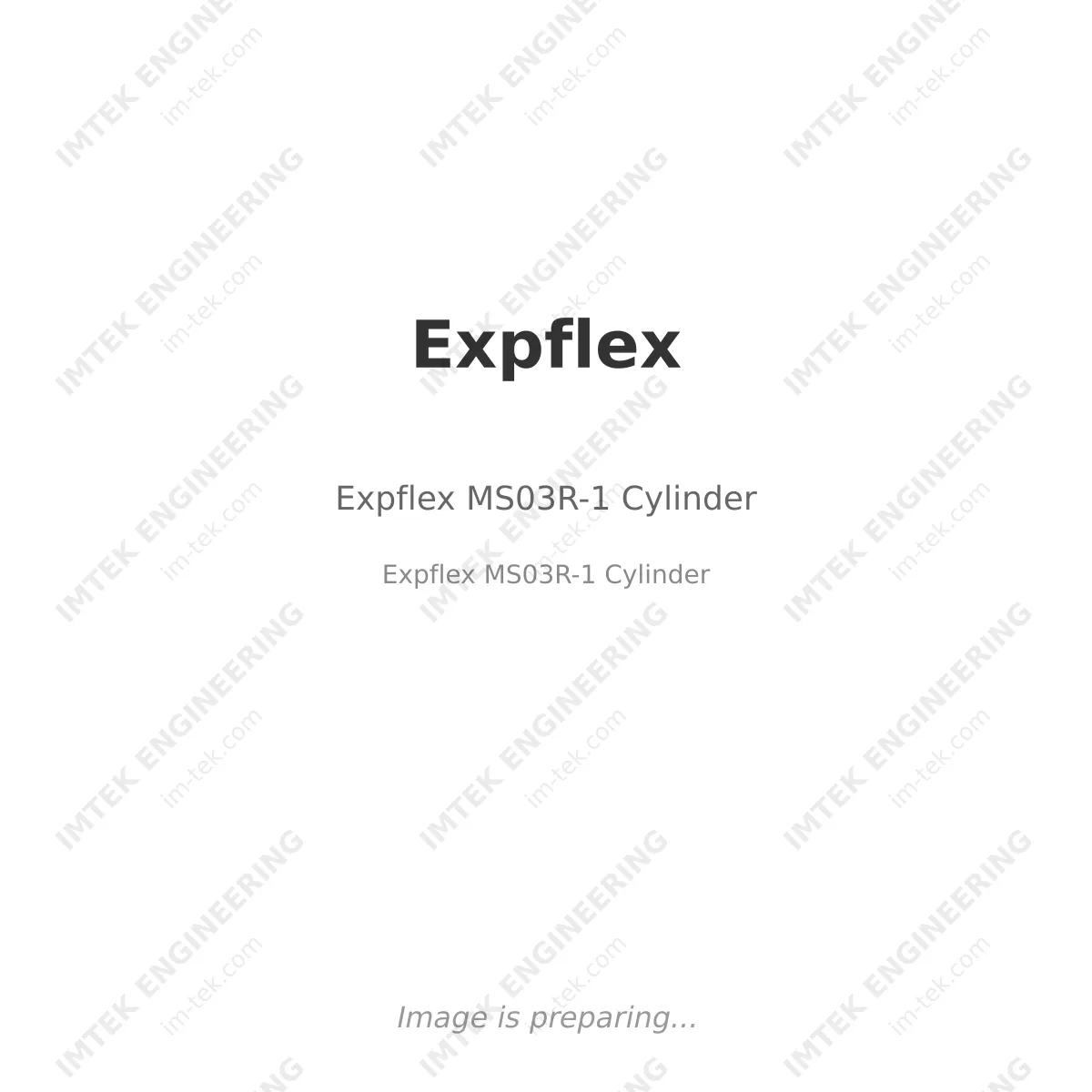 Expflex Expflex MS03R-1 Cylinder - Expflex MS03R-1 Cylinder