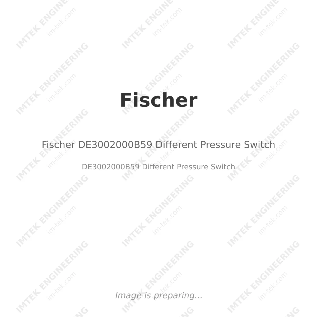 Fischer Fischer DE3002000B59 Different Pressure Switch - DE3002000B59 Different Pressure Switch