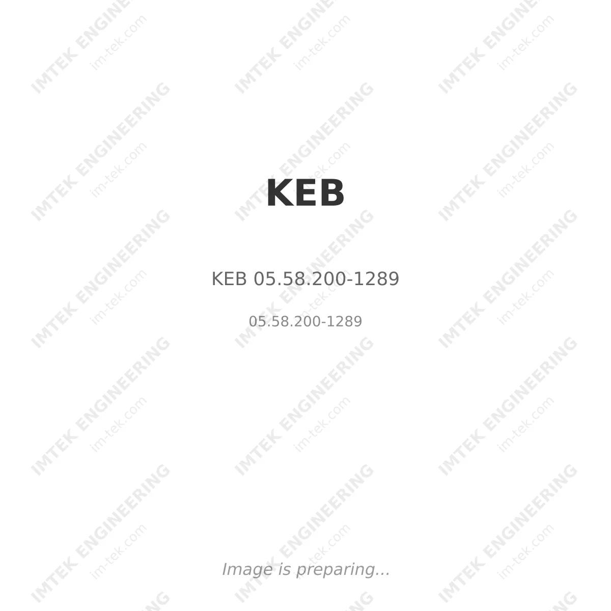 KEB KEB 05.58.200-1289 - 05.58.200-1289