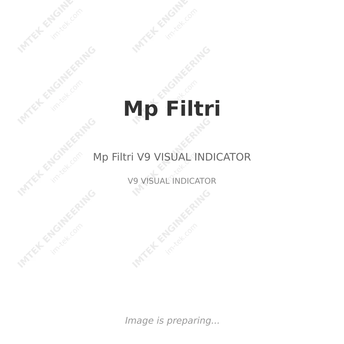 Mp Filtri Mp Filtri V9 VISUAL INDICATOR - V9 VISUAL INDICATOR