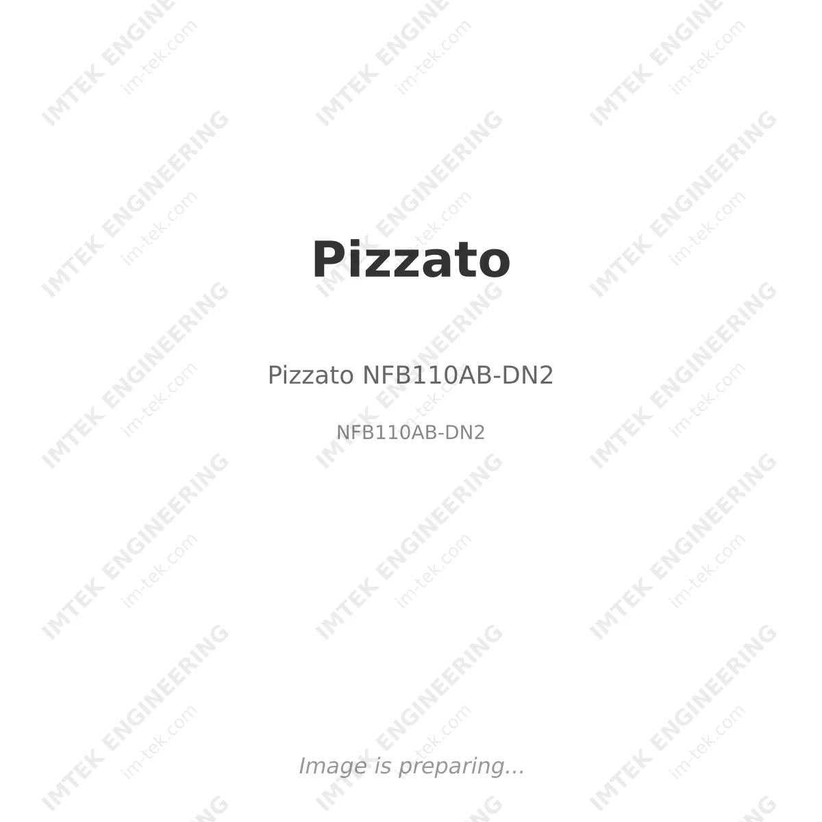 Pizzato Pizzato NFB110AB-DN2 - NFB110AB-DN2