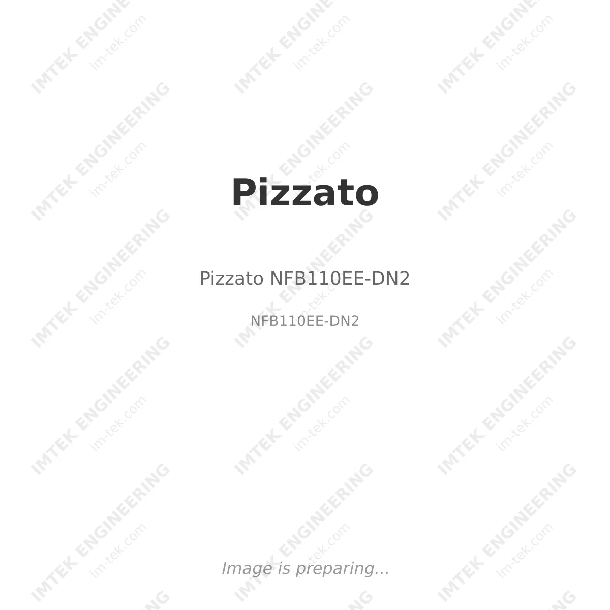 Pizzato Pizzato NFB110EE-DN2 - NFB110EE-DN2