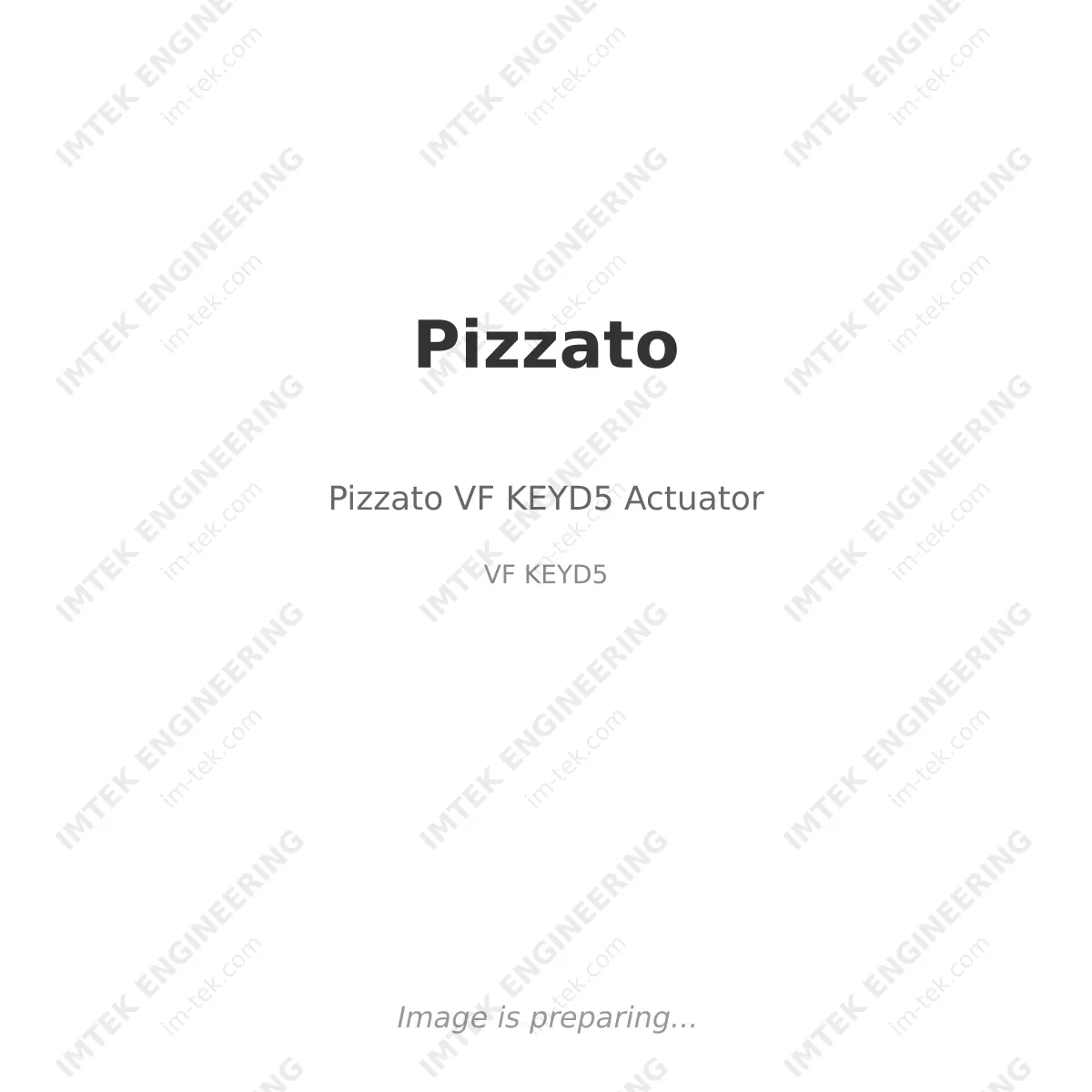 Pizzato Pizzato VF KEYD5 Actuator - VF KEYD5