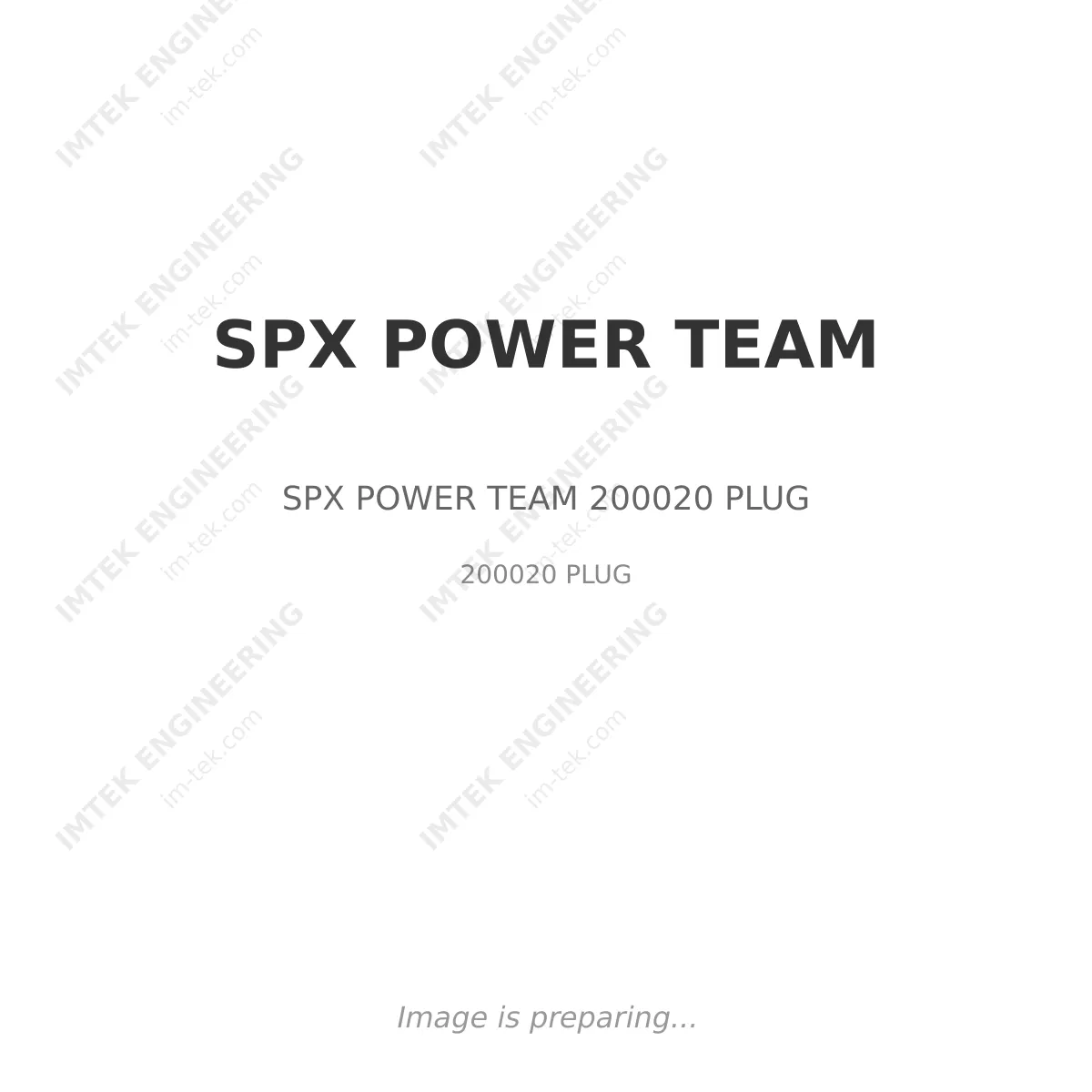 SPX POWER TEAM SPX POWER TEAM 200020 PLUG - 200020 PLUG