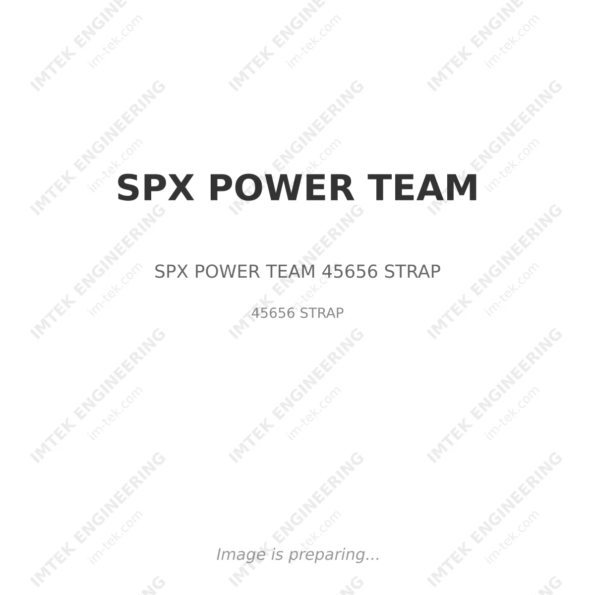 SPX POWER TEAM SPX POWER TEAM 45656 STRAP - 45656 STRAP