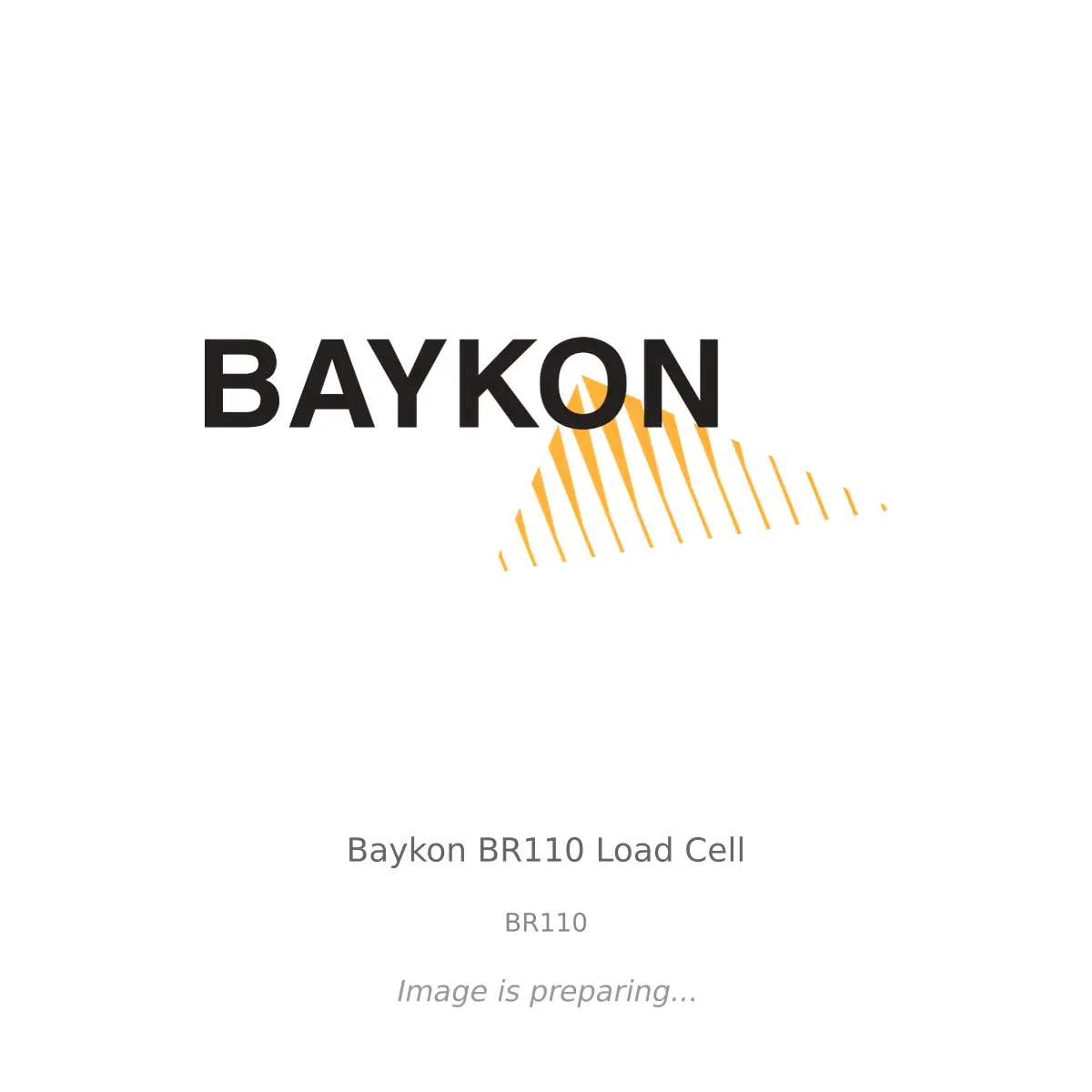 Baykon - Baykon BR110 Load Cell Baykon Baykon BR110 Load Cell - BR110