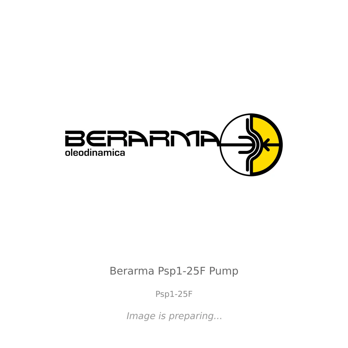 Berarma Berarma Psp1-25F Pump - Psp1-25F