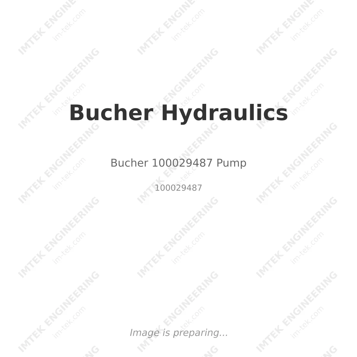 Bucher Hydraulics Bucher 100029487 Pump - 100029487
