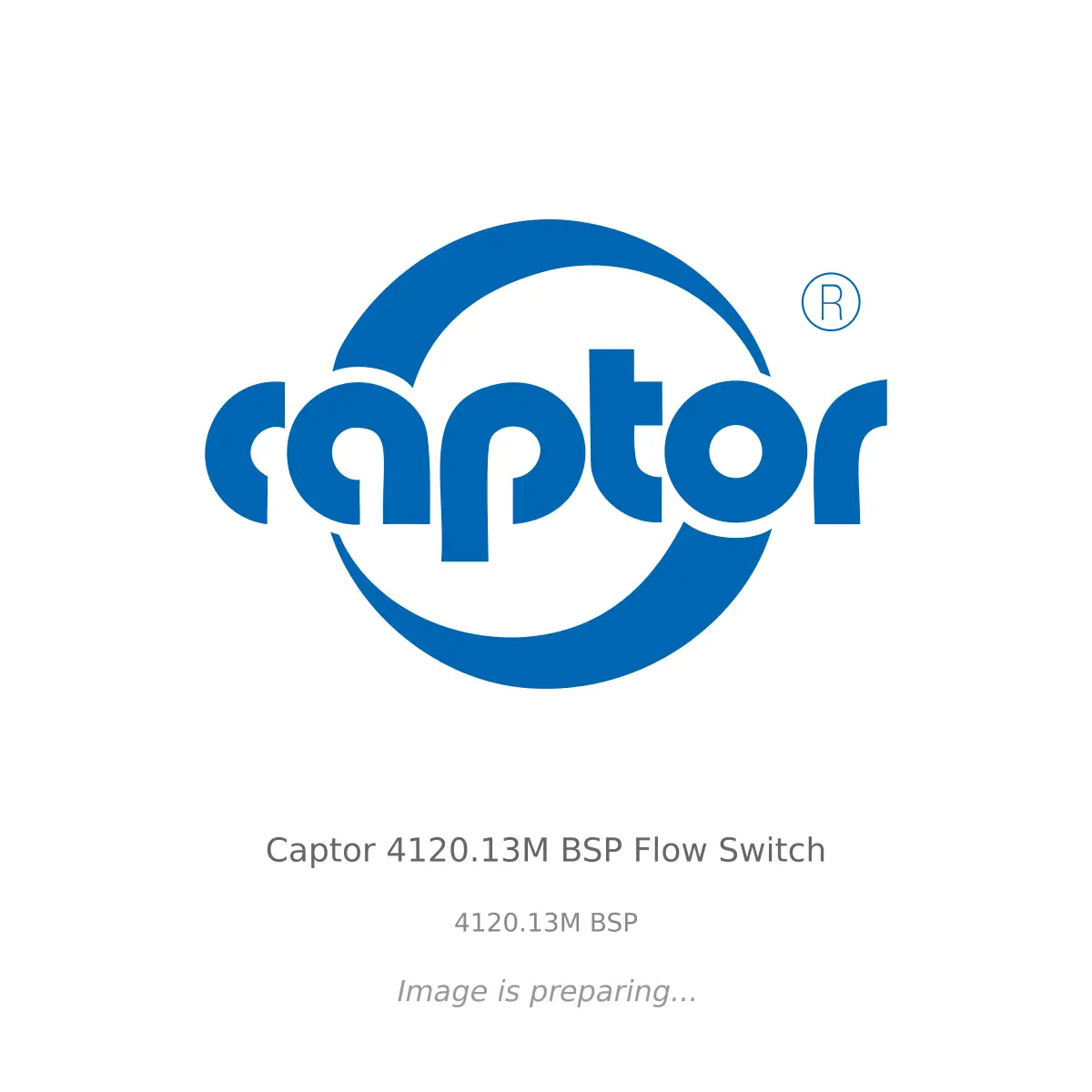 Captor Captor 4120.13M BSP Flow Switch - 4120.13M BSP