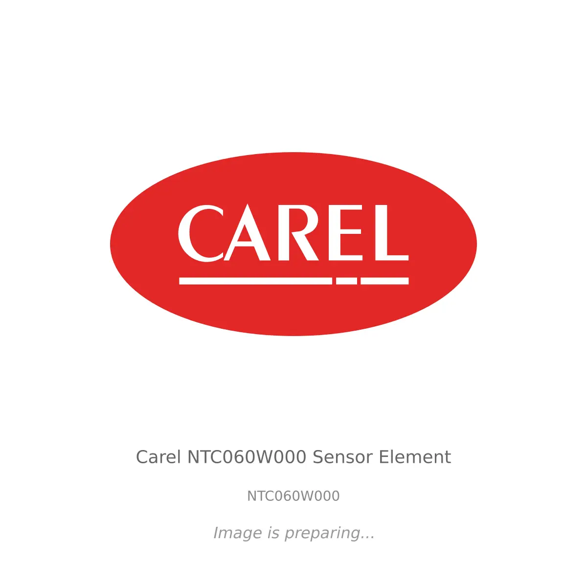Carel Carel NTC060W000 Sensor Element - NTC060W000