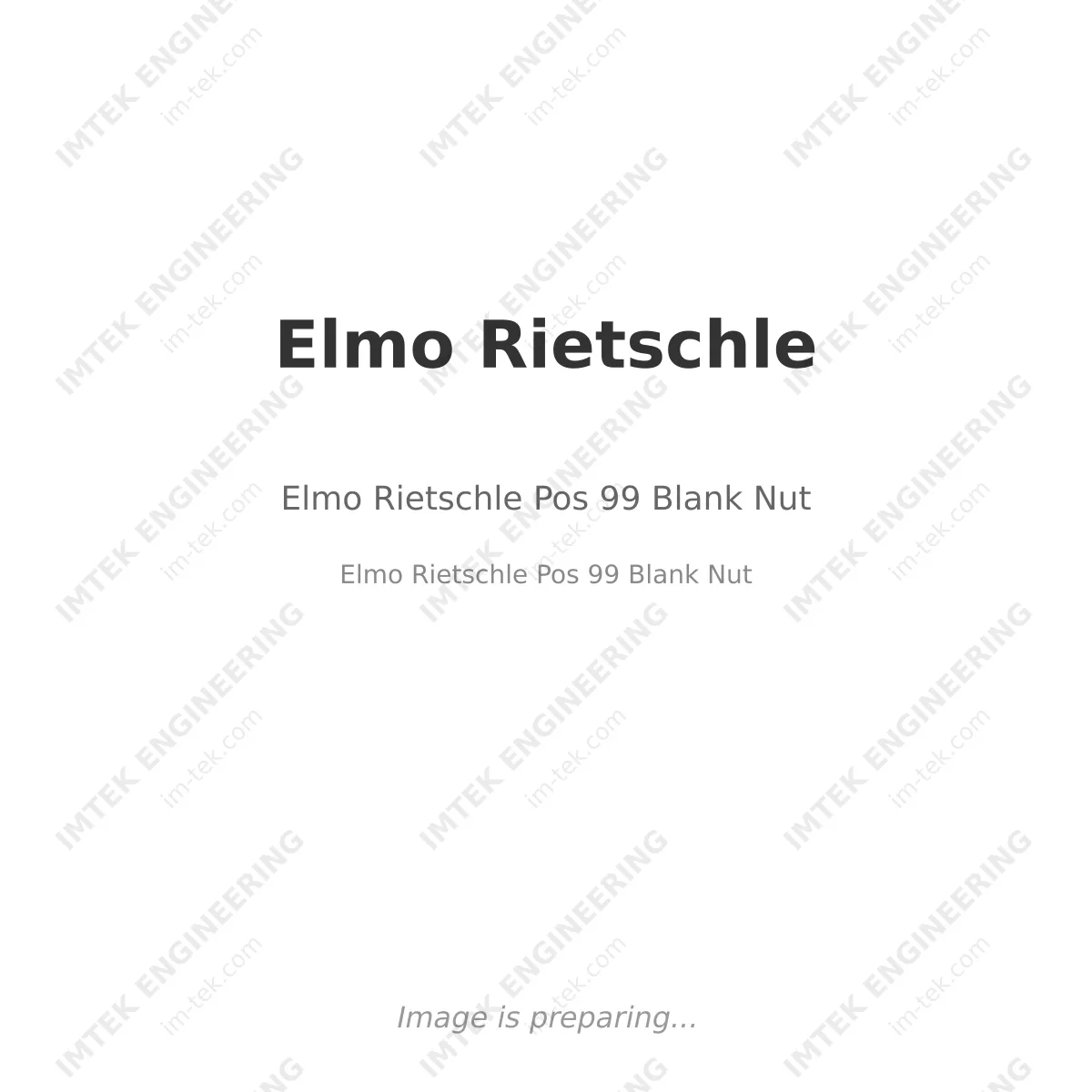 Elmo Rietschle Elmo Rietschle Pos 99 Blank Nut - Elmo Rietschle Pos 99 Blank Nut