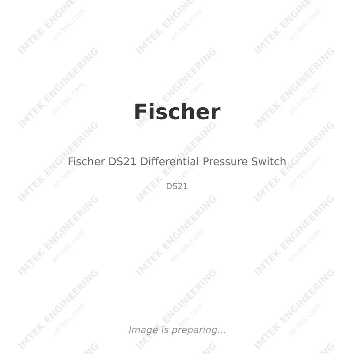Fischer Fischer DS21 Differential Pressure Switch - DS21