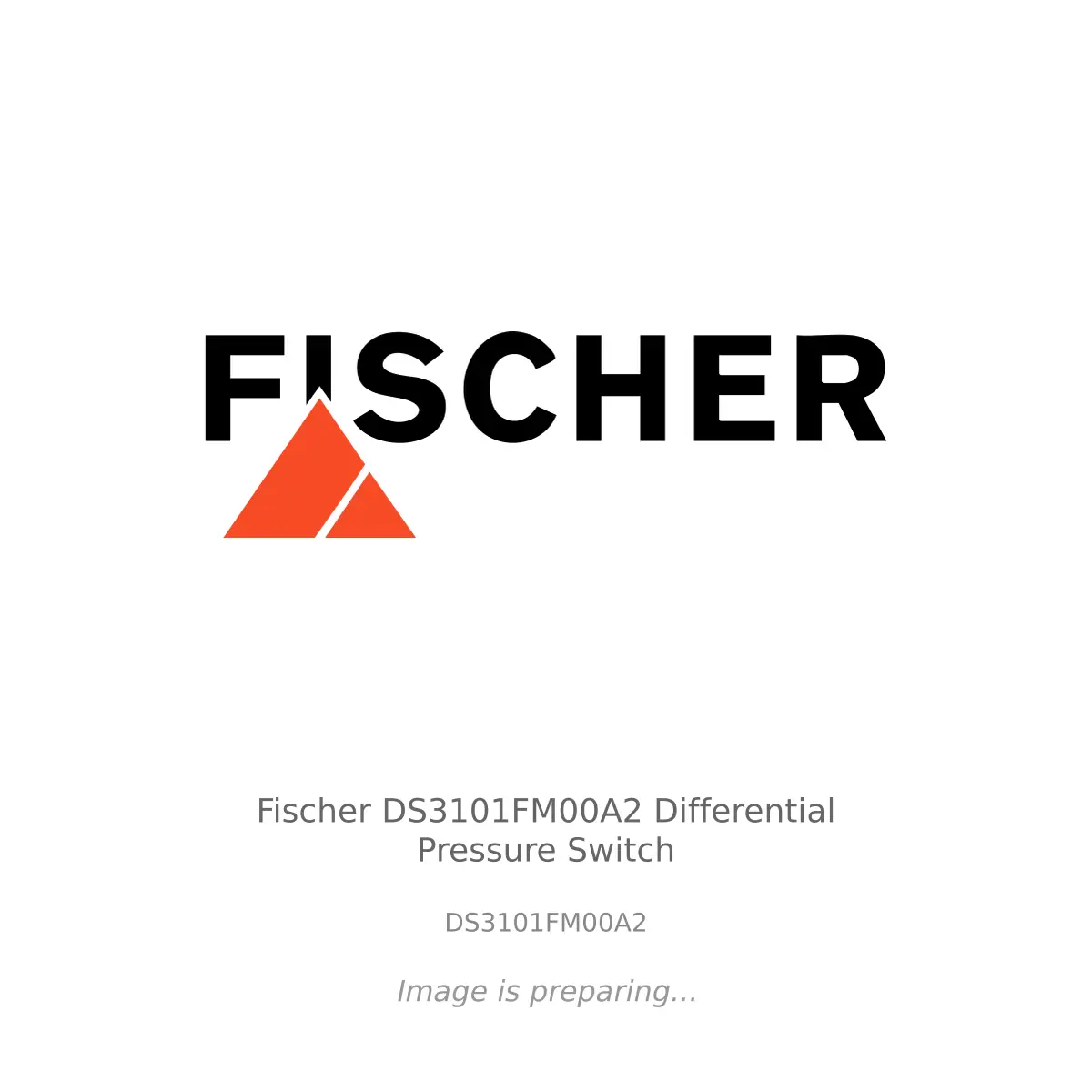 Fischer Fischer DS3101FM00A2 Differential Pressure Switch - DS3101FM00A2