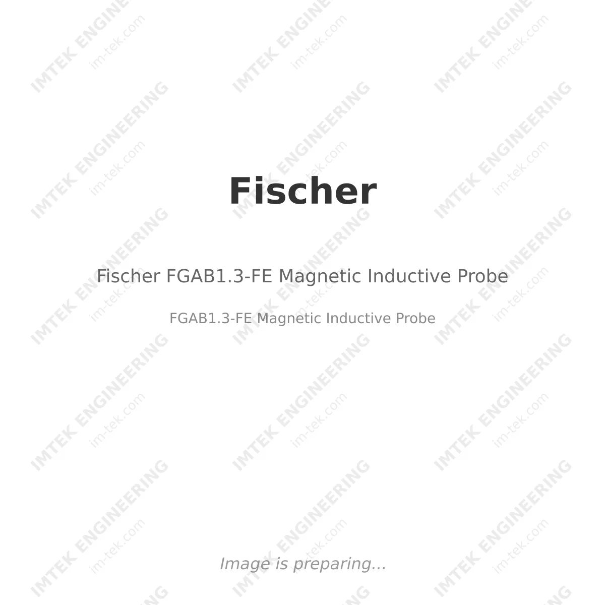 Fischer Fischer FGAB1.3-FE Magnetic Inductive Probe - FGAB1.3-FE Magnetic Inductive Probe