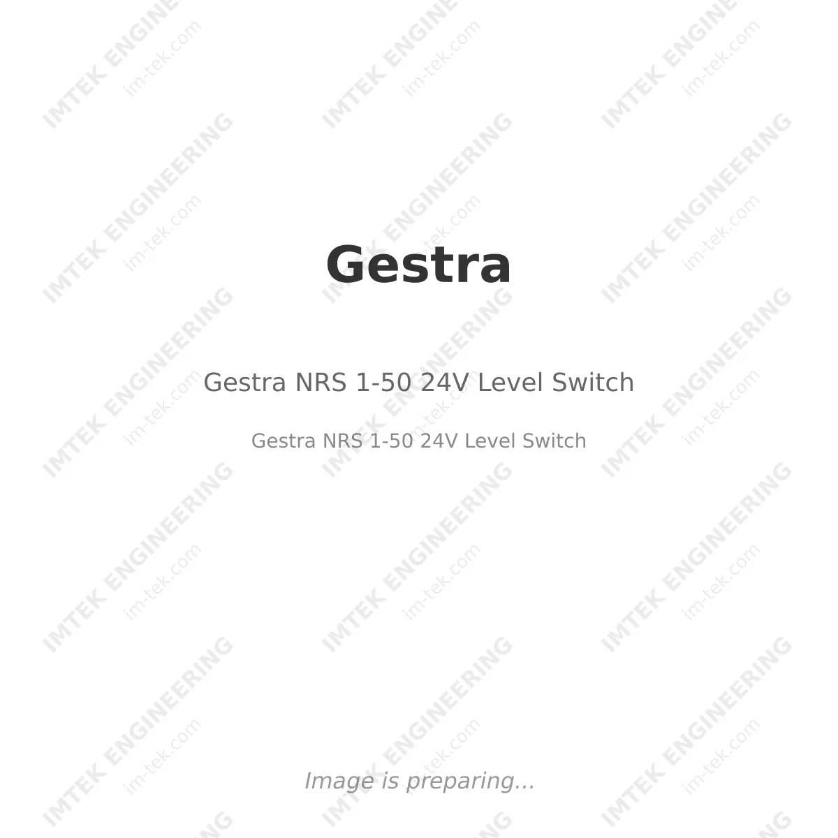 Gestra Gestra NRS 1-50 24V Level Switch - Gestra NRS 1-50 24V Level Switch