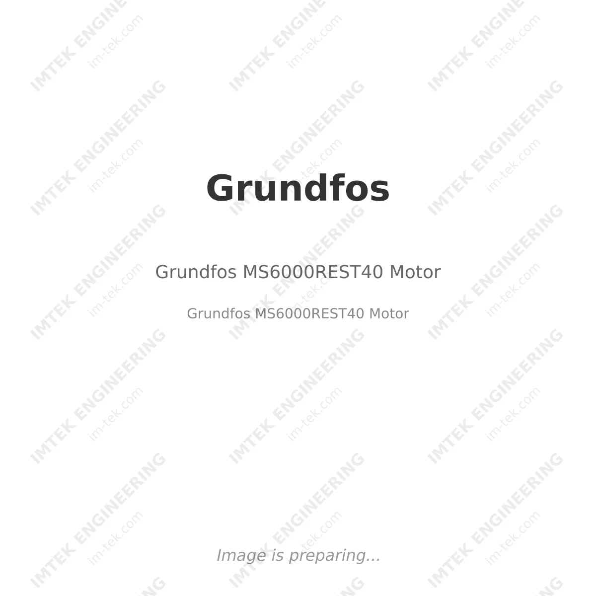 Grundfos Grundfos MS6000REST40 Motor - Grundfos MS6000REST40 Motor