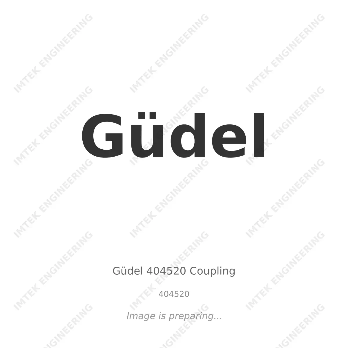 Güdel Gudel 404520 Coupling - 404520