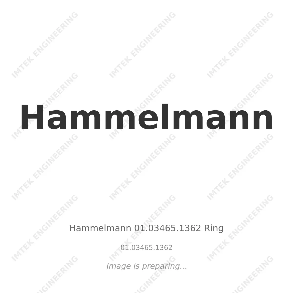 Hammelmann Hammelmann 01.03465.1362 Ring - 01.03465.1362