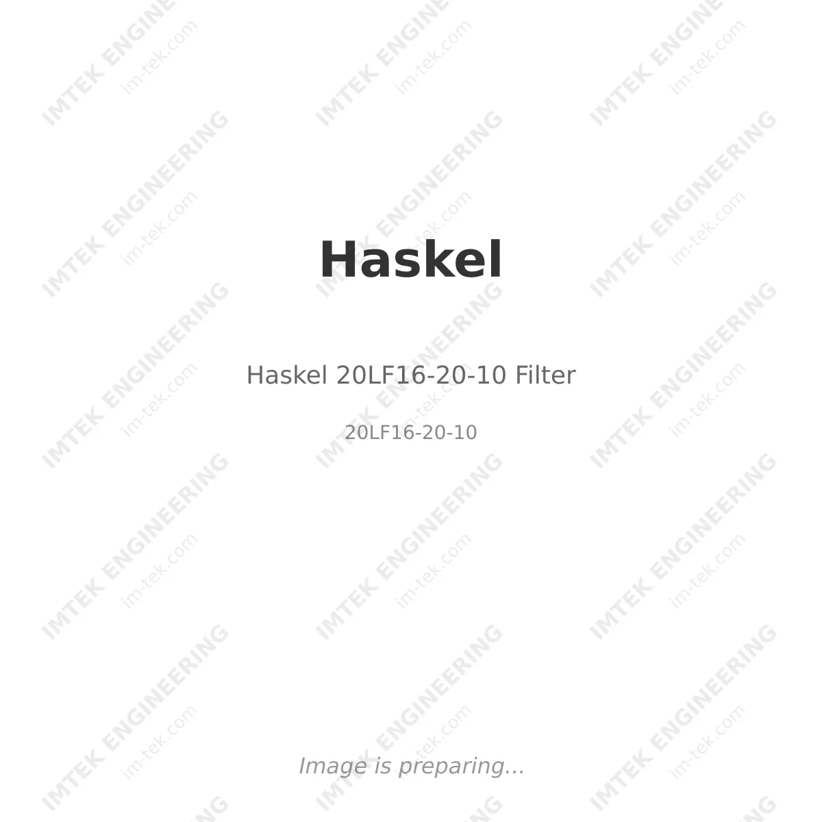 Haskel Haskel 20LF16-20-10 Filter - 20LF16-20-10