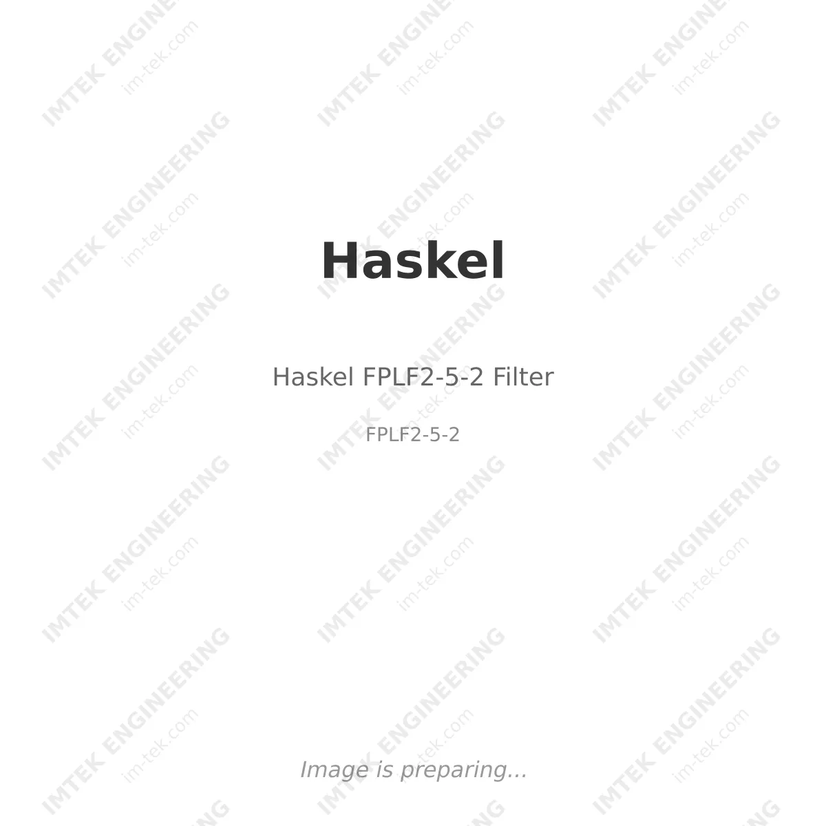 Haskel Haskel FPLF2-5-2 Filter - FPLF2-5-2