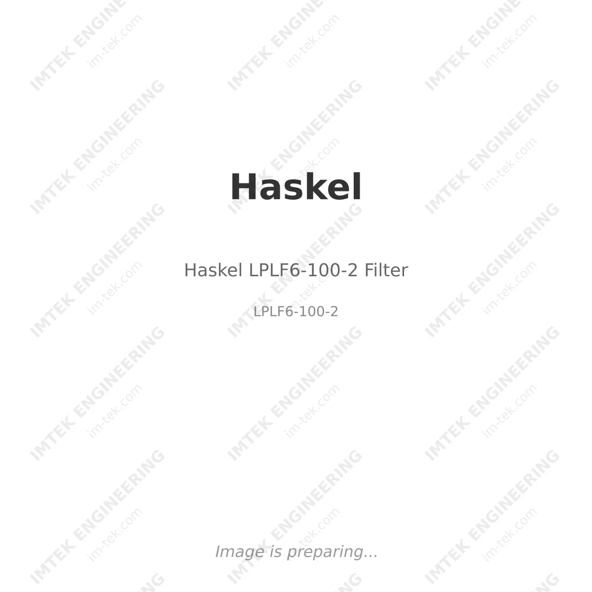 Haskel Haskel LPLF6-100-2 Filter - LPLF6-100-2