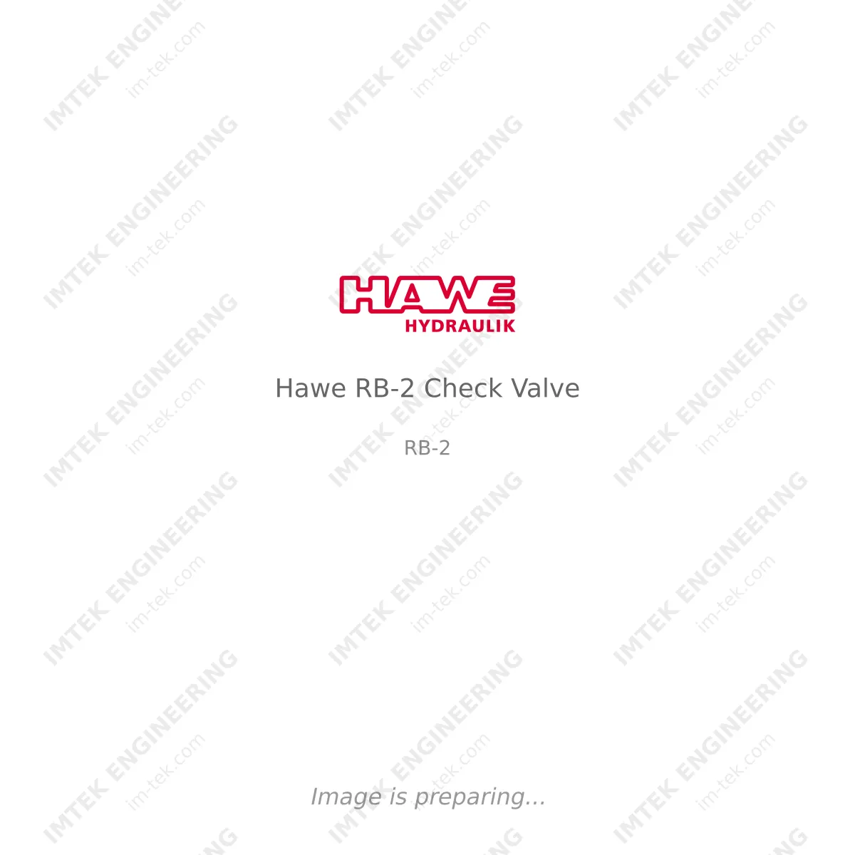 Hawe Hawe RB-2 Check Valve - RB-2