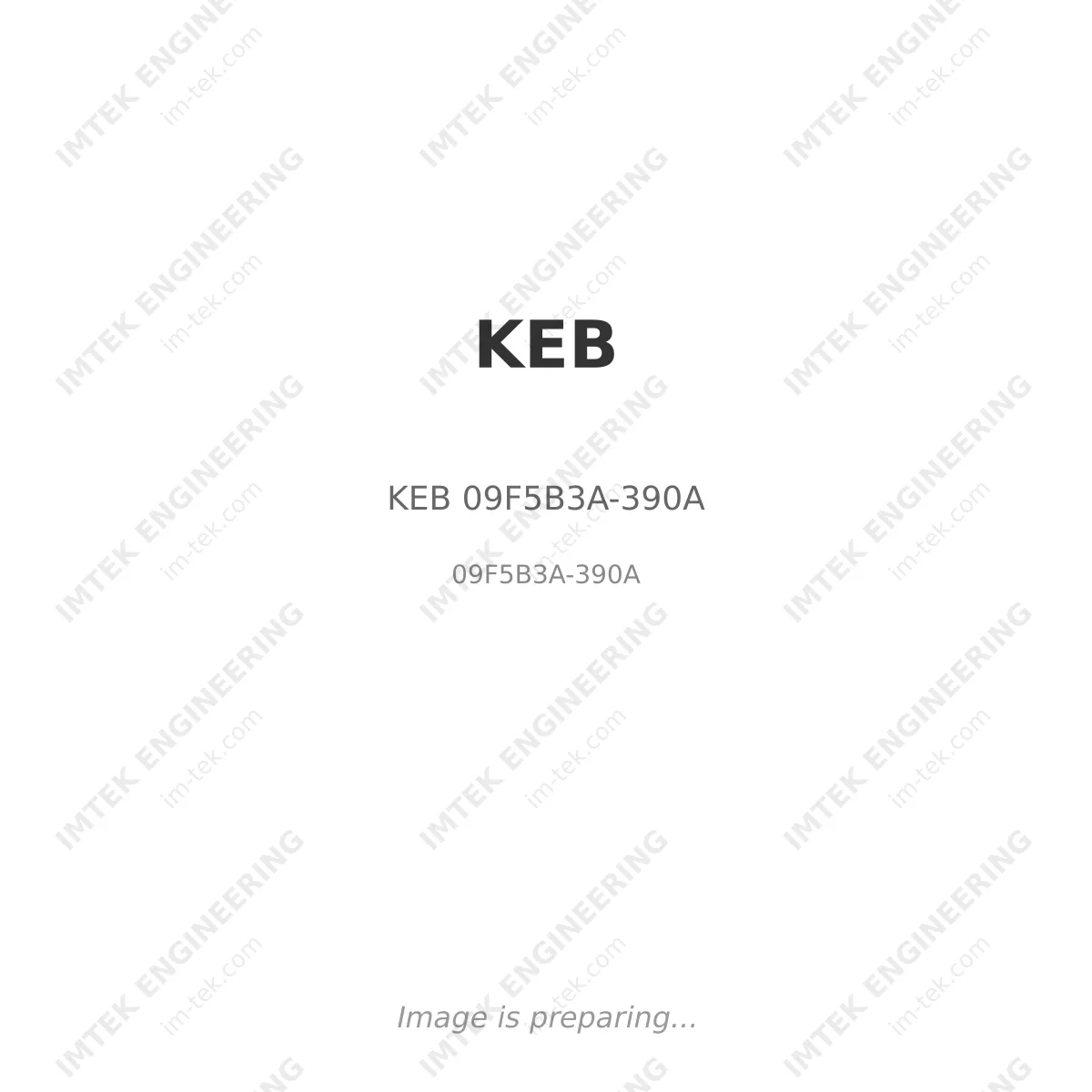 KEB KEB 09F5B3A-390A - 09F5B3A-390A