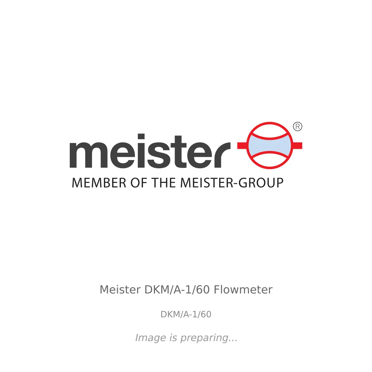 Meister Meister DKM/A-1/60 Flowmeter - DKM/A-1/60