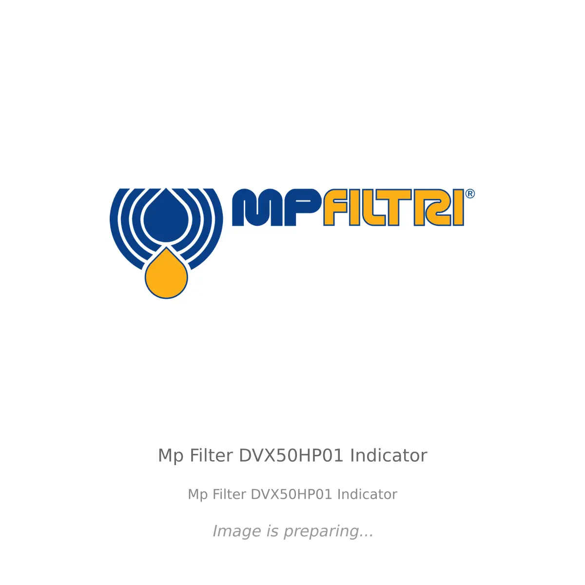 Mp Filtri Mp Filter DVX50HP01 Indicator - Mp Filter DVX50HP01 Indicator