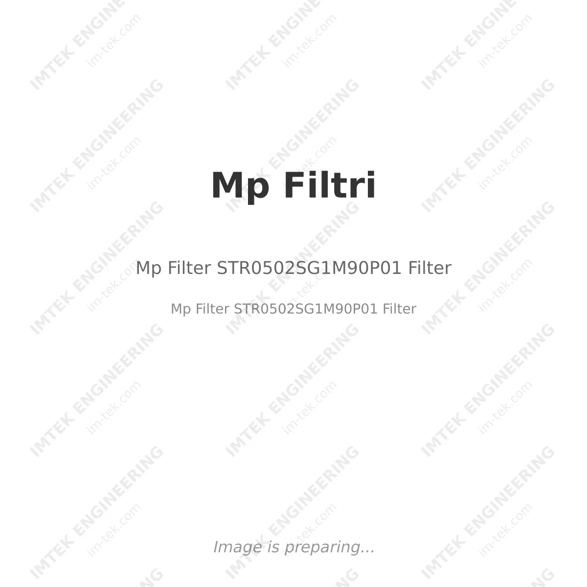 Mp Filtri Mp Filter STR0502SG1M90P01 Filter - Mp Filter STR0502SG1M90P01  Filter