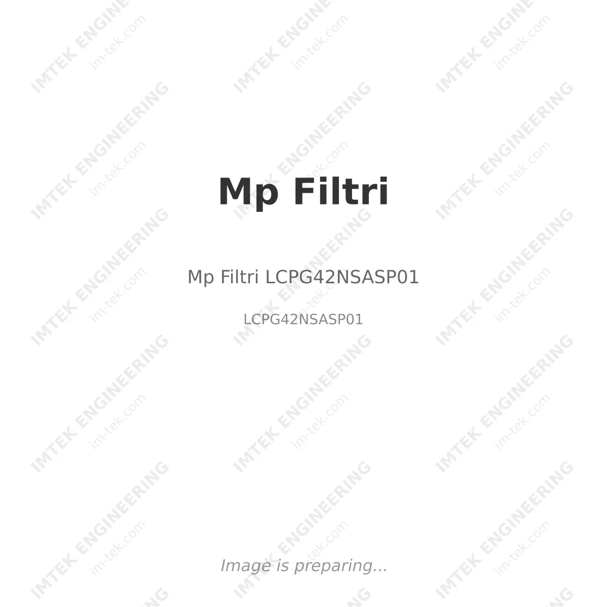 Mp Filtri Mp Filtri LCPG42NSASP01 - LCPG42NSASP01