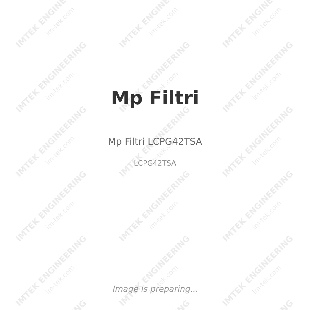 Mp Filtri Mp Filtri LCPG42TSA - LCPG42TSA