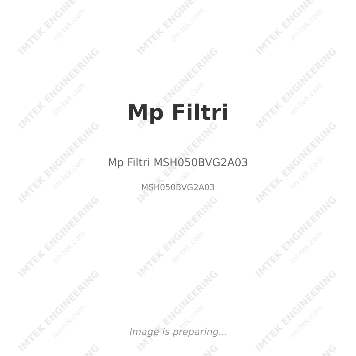 Mp Filtri Mp Filtri MSH050BVG2A03 - MSH050BVG2A03