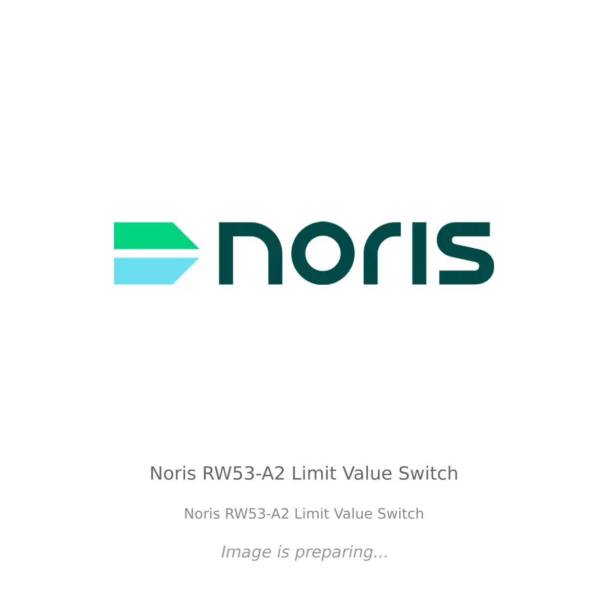 Noris Noris RW53-A2 Limit Value Switch - Noris RW53-A2 Limit Value Switch