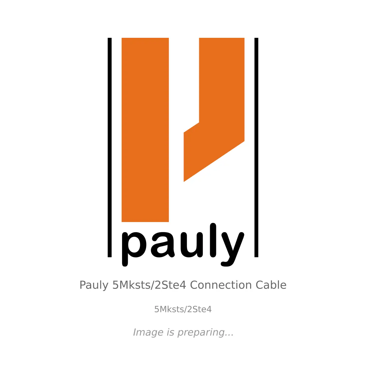 Pauly Pauly 5Mksts/2Ste4 Connection Cable - 5Mksts/2Ste4