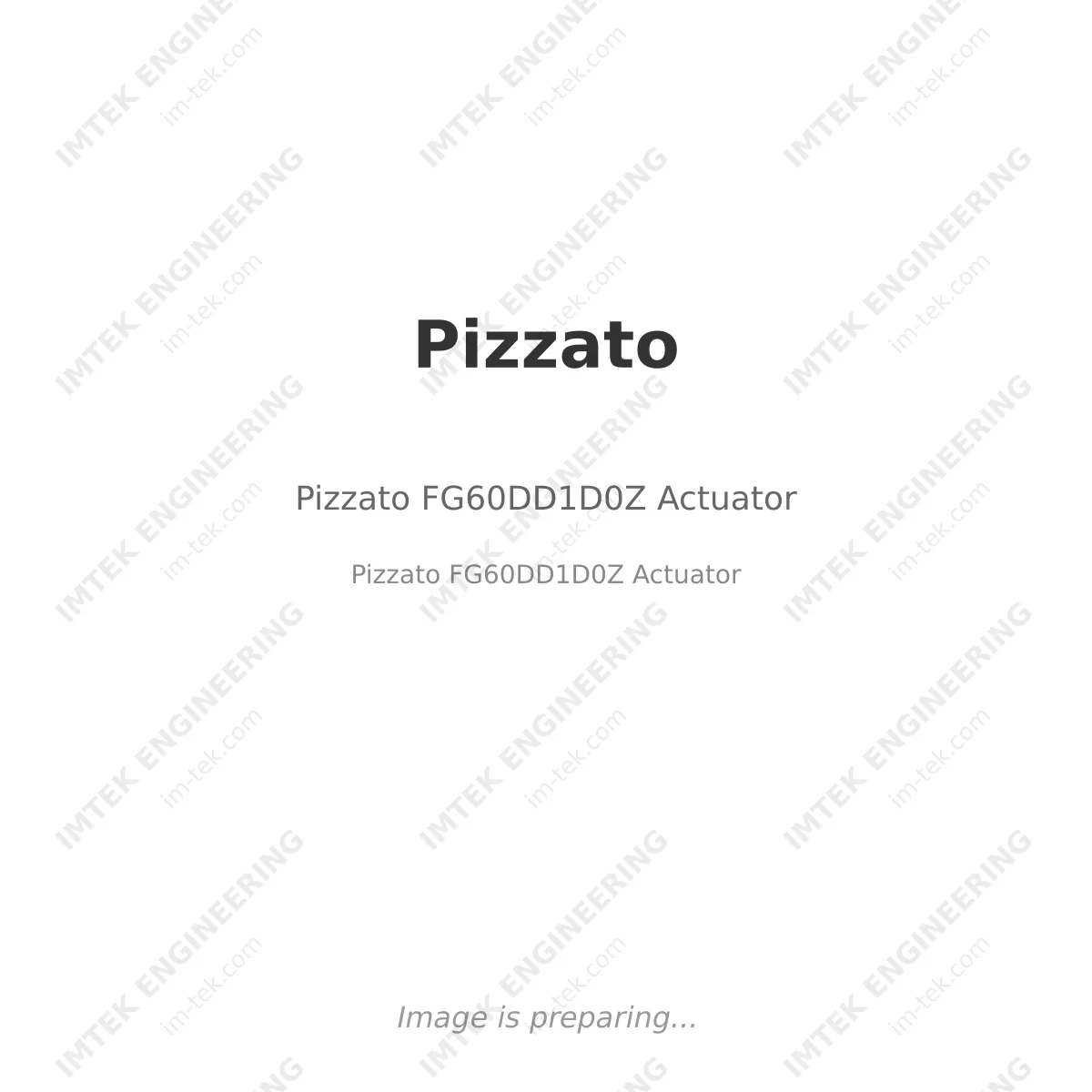 Pizzato Pizzato FG60DD1D0Z Actuator - Pizzato FG60DD1D0Z Actuator