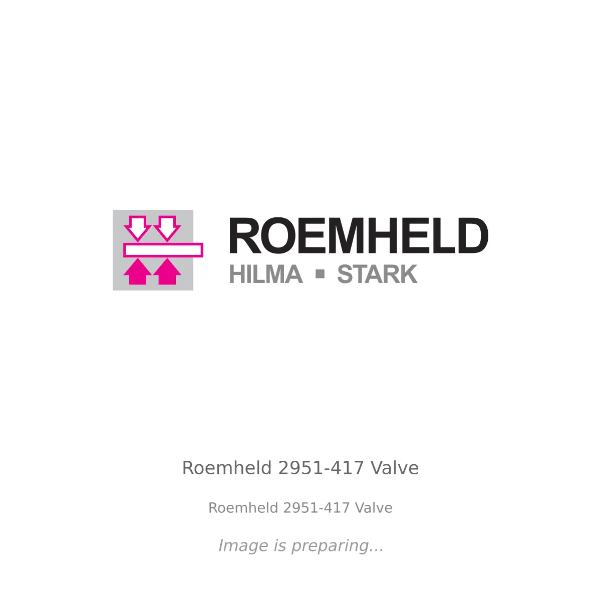 Roemheld Roemheld 2951-417 Valve - Roemheld 2951-417 Valve