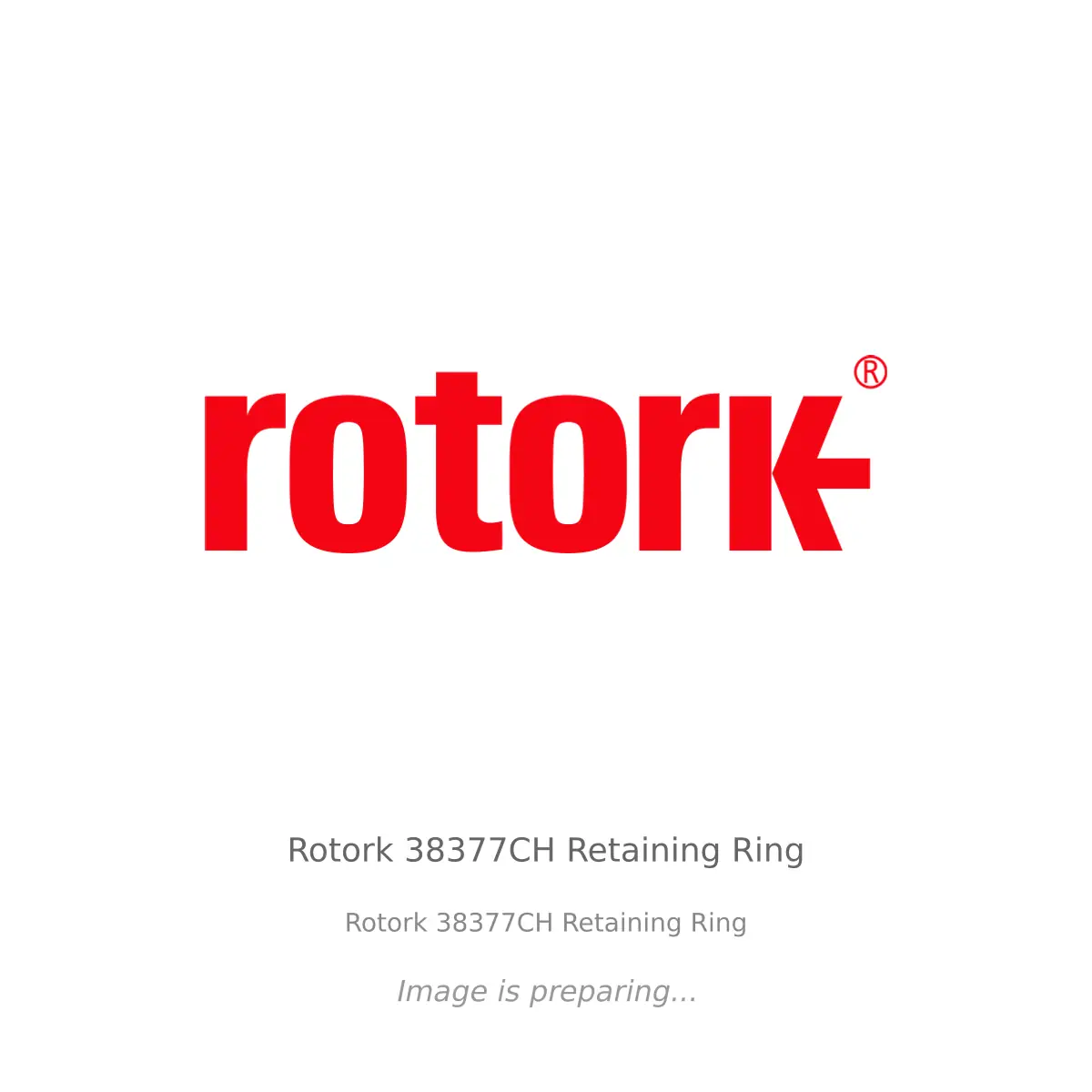 Rotork Rotork 38377CH Retaining Ring - Rotork 38377CH Retaining Ring