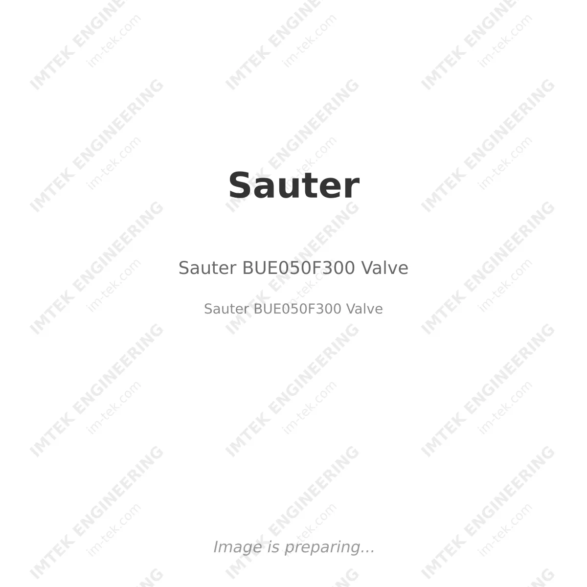 Sauter Sauter BUE050F300 Valve - Sauter BUE050F300 Valve