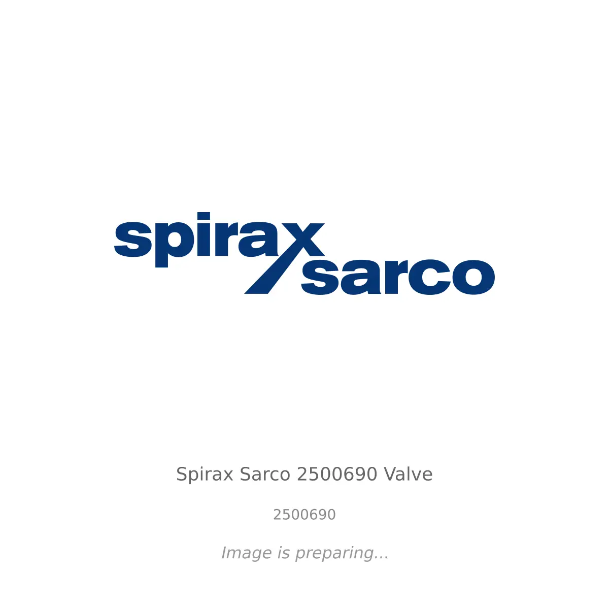Spirax Sarco Spirax Sarco 2500690 Valve - 2500690