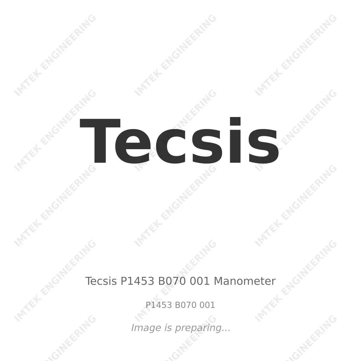 Tecsis Tecsis P1453 B070 001 Manometer - P1453 B070 001