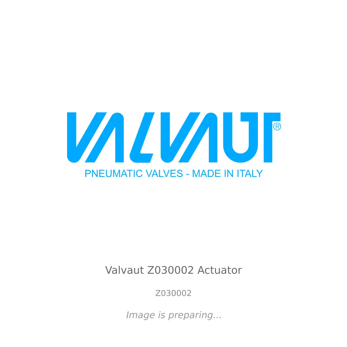 Valvaut - Valvaut Z030002 Actuator Valvaut Valvaut Z030002 Actuator - Z030002