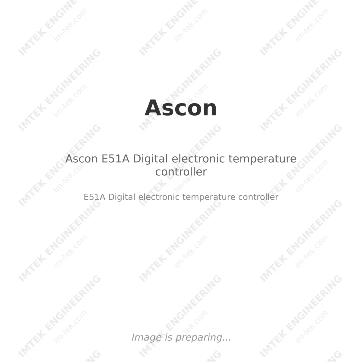 Ascon Ascon E51A Digital electronic temperature controller - E51A Digital electronic temperature controller
