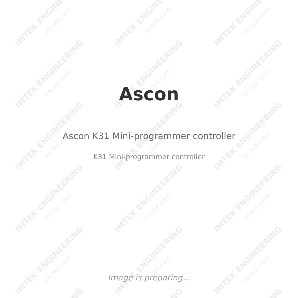 Ascon Ascon K31 Mini-programmer controller - K31 Mini-programmer controller